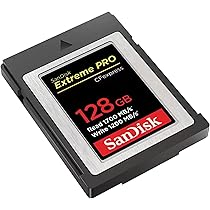 サンディスクSanDisk Extreme PRO128GB CFexpress 71+k8k+XiaL._AC_UL210_SR210,